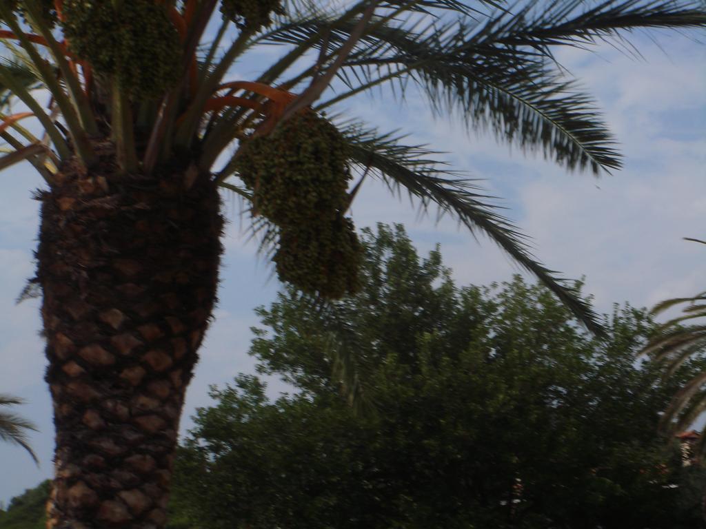 Mikiverna Maisonnette Villa Kalyves Polygyrou Bagian luar foto